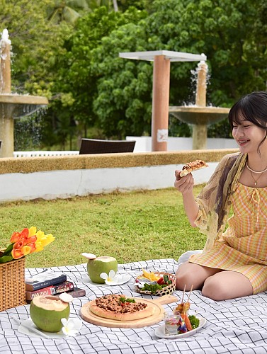 Minimal Picnic